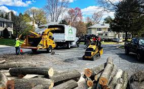 Santa Nella, CA Tree Removal and Landscaping Services Company